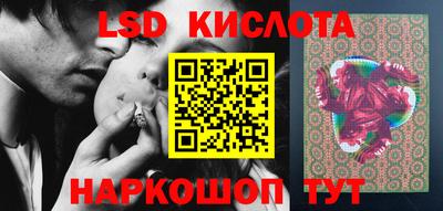 прущие грибы Вязники