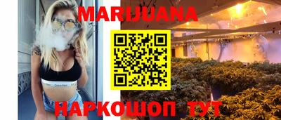 прущие грибы Вязники