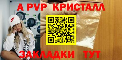 прущие грибы Вязники