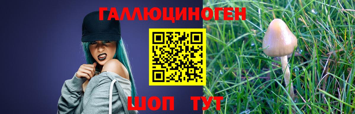 Псилоцибиновые грибы мухоморы Большой Камень